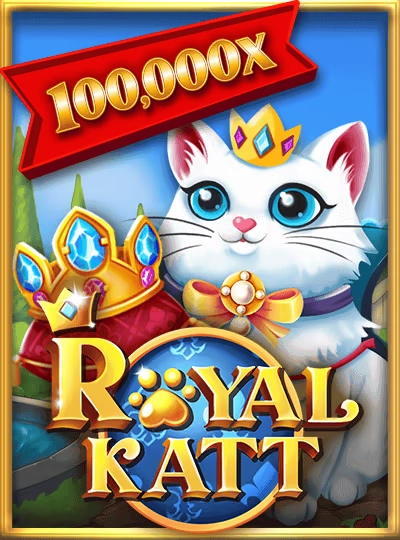 Video Slot cover